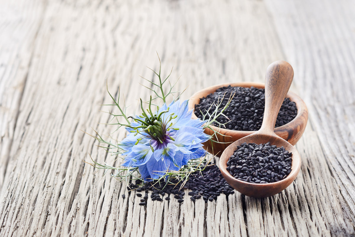 AdobeStock_352259530